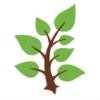 HCMG Logo