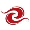 Health and Style Institute Logo