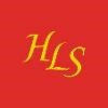 Healthcare Legal Solutions Logo