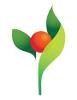 HealthEd Logo