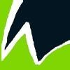 HealthWyse Logo