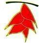 Heliconia Logo