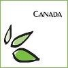 Herbal Magic Logo