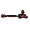 Hercules International Logo