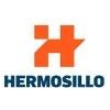 Hermosillo y Asociados Arquitectos Logo