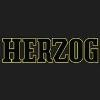 Herzog Railroad Services Logo