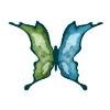 Highlands Community Services Logo