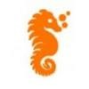 Hippocampus Infotech Logo