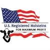 Holstein Association USA Logo