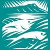 Honolulu Fish Company Logo