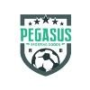 Hooked On Soccer Logo