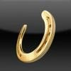 Horseshoe Gaming Logo