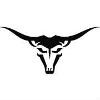 Houston Business Consulting Logo