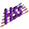 HSS Hi-Tech Security Solutions Logo