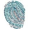 Human Coalition Logo