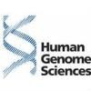 Human Genome Sciences Logo