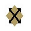 HUMANeX Ventures Logo