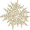 Hyphae Logo