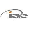 iae GLOBAL Logo