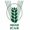 ICAR Logo