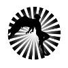 Icarus Management Logo