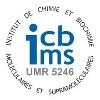 ICBMS Logo