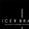 Icer Brands Logo