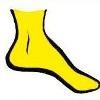 Idaho Foot & Ankle Associates Logo