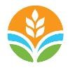 IFDC Logo