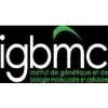 IGBMC Logo
