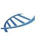 IGC (International Genomics Consortium) Logo