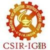 IGIB Logo