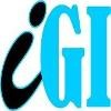 iGlobal Impact Logo