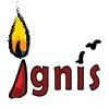 Ignis Careers Logo