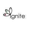 Ignite Intelligence Logo
