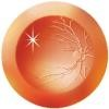 Illinois Retina Associates Logo