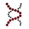 IMED Global Logo