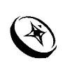 iMetrikus Logo