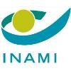Inami Logo