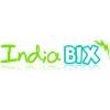 IndiaBIX Logo