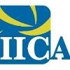 Indian Institute of Corporate Affairs Logo