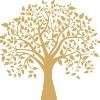 Indian Wealth Management Logo