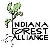 Indiana Forest Alliance Logo
