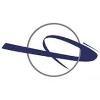 Infinity Support Services Logo