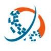 Info Way Solutions Logo