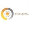 Ingensoma Trading Group Logo