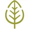 Insight Recruitment Logo