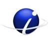 Insignia Technology Services Logo