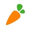 Instacart Logo