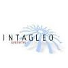 Intagleo Systems Logo